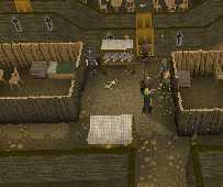 Zybez RuneScape Help's Screenshot of Inside the Castle
